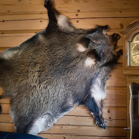Tęczowe Wzgórze 4* Szczawnica
