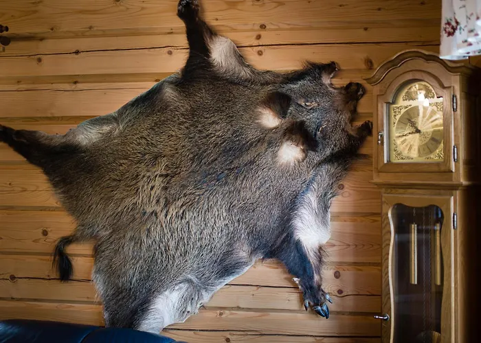 Teczowe Wzgorze 4* Szczawnica